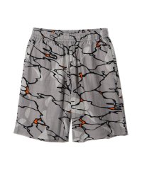 MANASTASH/MANASTASH/マナスタッシュ/MHAK LITHIUM SHORT/506555081