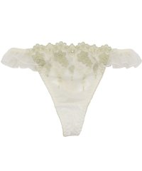 palissee/パリーゼ Palissee ニュアンスラメフルール Tバックショーツ【返品不可】 【返品不可商品】/506555581