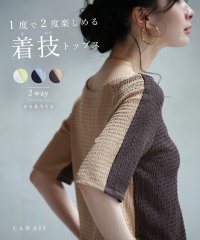 CAWAII/カワイイ CAWAII 1枚で二度楽しめる 着技トップス バイカラー シワ加工 着回し 半袖 カットソー シアー 前後 2WAY 伸縮性 エレガント カジュアル/506575338