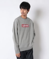 LEVI’S OUTLET/T3 RELAXED GRAPHIC CREW BT CREW MHG GRAP/506557481