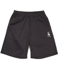 Soccer Junky/サッカージャンキー soccer junky soccer junky サッカージャンキー フットサル ハーフパンツ ボールは疲れない＋14 CP/506687516