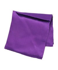 TOMORROWLAND GOODS/TOMORROWLAND シルクサテン ポケットチーフ/506733565