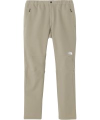 THE NORTH FACE/ザ・ノース・フェイス THE NORTH FACE THE NORTH FACE ノースフェイス アウトドア アルパインライトパンツ メンズ ALPINE/506524399