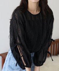 BLUEEAST/ブルーイースト BLUEEAST チュールレースシアーブラウス/506746306