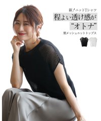 Ehre style/エーレスタイル Ehre style 新！ニットTシャツ 程よい透け感が"オトナ"/506770585