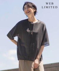 J.PRESS LADIES（LARGE SIZE）/【WEB限定】シアーレイヤード ツイン カットソー/506797754