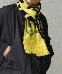 SHIPS any MEN/【SHIPS any別注】UMBRO: エンブレム サッカー マフラー◇/506827959