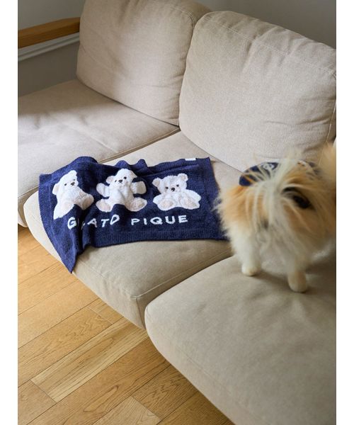 ジェラピケ　SLEEPING DOG ジャガードブランケット　フレンチブルドッグ ジェラピケ SLEEPING DOG ジャガードブランケット フレンチ