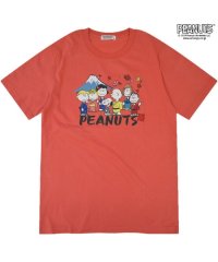  PEANUTS/ピーナッツ PEANUTS スヌーピー Tシャツ 半袖 トップス 和柄 プリント SNOOPY PEANUTS/506840348