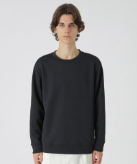 BLACK LABEL CRESTBRIDGE/ブリスターシャドーチェックスウェットシャツ/506740257