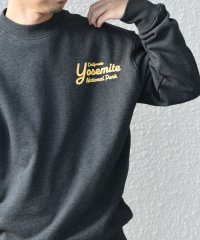 SHIPS any MEN/【WEB限定】SHIPS any: NATIONAL PARK プリント スウェット 24FW (ユニセックス)◇/506856212
