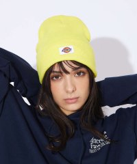 ABAHOUSE/【DICKIES/ディッキーズ】Knit－watch/定番ニットキャップ/リブ編/506731258