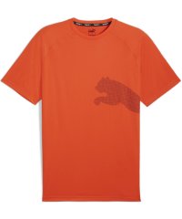 PUMA/PUMA プーマ メンズ TRAIN ALL DAY BIG CAT SS Tシャツ 525939/506857453