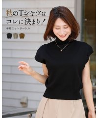 Ehre style/エーレスタイル Ehre style ”秋のTシャツ”はこれに決まり半袖ニットタートル/506857944