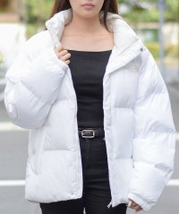 THE NORTH FACE/THE NORTH FACE ノースフェイス WHITE LABEL ホワイトレーベル RIVERTON ON BALL JACKET リバートンオンボール ジ/506858485