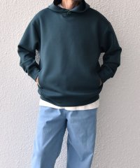 SHIPS any MEN/SHIPS any: カラー ポンチ スナップ プルオーバー パーカー 24FW◇/506865894