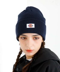 ABAHOUSE/【DICKIES/ディッキーズ】Knit－watch/定番ニットキャップ/リブ編/506731258
