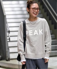 JOURNAL STANDARD relume/別注【Snow Peak】*REL Recycled Cotton Sweat CN：スウェット/506881076