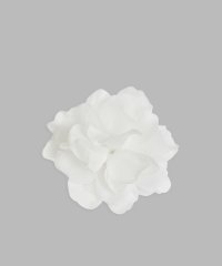 agnes b. FEMME/AO66 BARRETTE バレッタ/506893956
