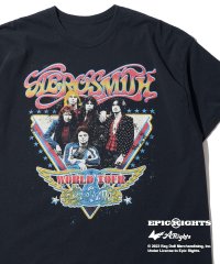 ADPOSION/アドポーション ADPOSION ヴィンテージ加工 バンドTシャツ / AEROSMITHロックTシャツ/506928666