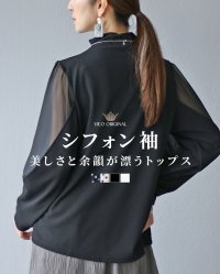 Vieo/ヴィオ Vieo シフォン袖 美しさと余韻が漂うトップス/506930657