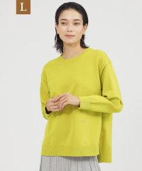 エヴェックス バイ クリツィア　Lサイズ/【L】【カタログ掲載品】【100回洗っても型崩れしない】【ウォッシャブル】テックスブリッドクルーネックプルオーバーニット/506883225