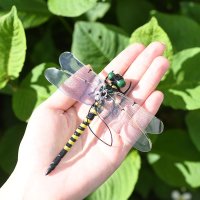 REAL STYLE/リアルスタイル REAL STYLE オニヤンマ 虫除け 虫よけ 12cm ゴルフ 害虫対策 アウトドア 釣り 登山 キャンプ キーホルダー ストラップ 安全ピ/506928799