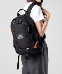 GREGORY/グレゴリー GREGORY FINE DAY V2 PFM2 1500661041 バックパック メンズ ファインデイ デイパック リュックサック 18L/506942167