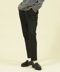 MACKINTOSH PHILOSOPHY/ブラッシュドライニングテーパードパンツ/506591338