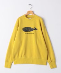 SHIPS KIDS/ARCH&LINE:155cm / オーガニック コットン プルオーバー/506972113
