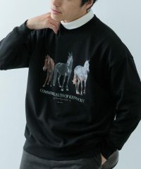ITEMS URBAN RESEARCH/クルーネックスエット horse/506981577