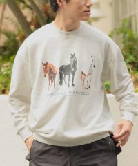 ITEMS URBAN RESEARCH/クルーネックスエット horse/506981577