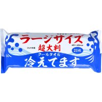 REAL STYLE/リアルスタイル REAL STYLE ボディシート 汗拭きシート 冷感 ひんやり 大判 メンズ レディース 男性 女性 冷却シート 全身用 暑さ対策 熱中症対策/507009127