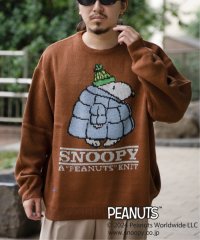 VENCE　EXCHANGE/PEANUTS ピーナッツ SNOOPY スヌーピー TPクルーネックニット/506201038