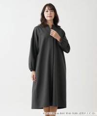 Leilian PLUS HOUSE/スキッパーネックワンピース【THE NEW】/506880441