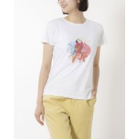 MODE FOURRURE/モードフルーレ MODE FOURRURE イタリア製コットンTシャツ/507005805