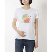 La Rinelle/ラ リネール La Rinelle イタリア製コットンTシャツ/507019371