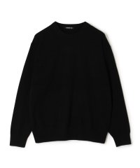 GALERIE VIE/スコットランドカシミヤ クルーネックプルオーバー/507021530