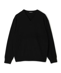 GALERIE VIE/スコットランドカシミヤ Vネックプルオーバー/507021531