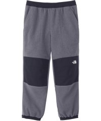 THE NORTH FACE/ノースフェイス THE_NORTH_FACE アウトドア デナリスリップオンパンツ メンズ Denali Slip－on Pant ボトムス パンツ ハード フ/507040709