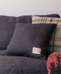 ACME Furniture/【BROWN'S BEACH CLOTH/ブラウンズビーチクロス】 CUSHION　クッションカバー 45cm角/507043560