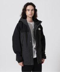 BEAVER/THE NORTH FACE/ザ・ノース・フェイス　Mountain Light Jacket/507055676