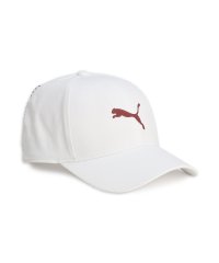 PUMA/メンズ ゴルフ キャット パフォーマンス コントラスト キャップ/506986235
