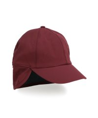 PUMA/メンズ ゴルフ パフォーマンス イヤーマフ キャップ/506986236