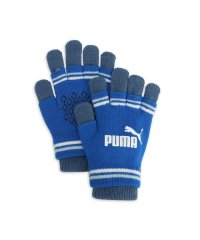 PUMA/ユニセックス プーマ キャット フィンガーレス グローブ IV/506986253