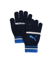 PUMA/ユニセックス プーマ スポーツ グローブ 1/506986267