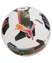 PUMA/ユニセックス プーマ オービタ 1 TB サッカーボール FIFA QUALITY/506986278