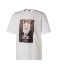 PUMA/メンズ キャット フォト Tシャツ/506986722