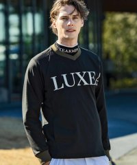 LUXEAKMPLUS/リュクスエイケイエムプラス LUXEAKMPLUS ゴルフ Vネックスニードジャック/507087858