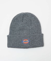 ABAHOUSE/【DICKIES/ディッキーズ】EMB LOGO KNIT WATCH/ロゴニッ/506731259